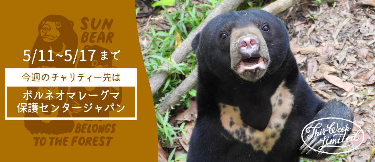 MV画像