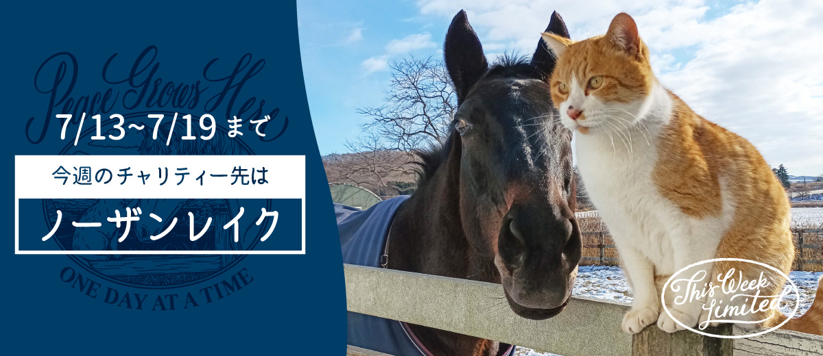 MV画像