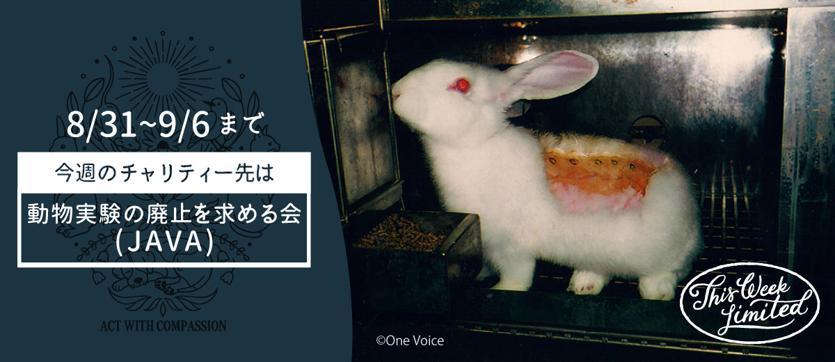 MV画像