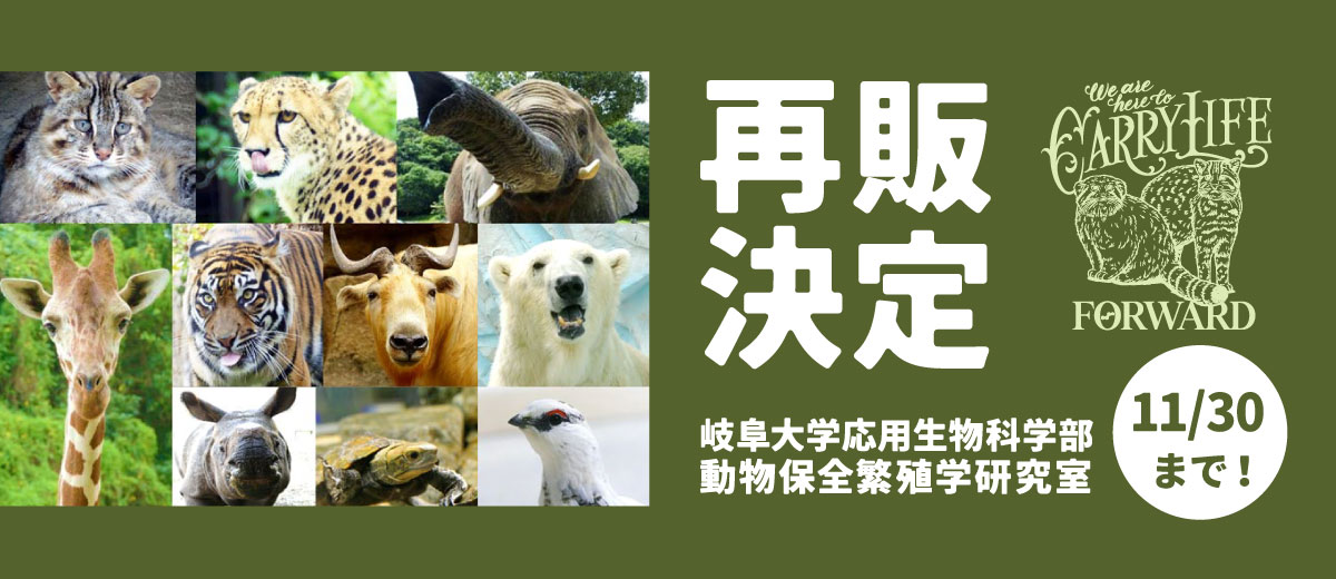 MV画像